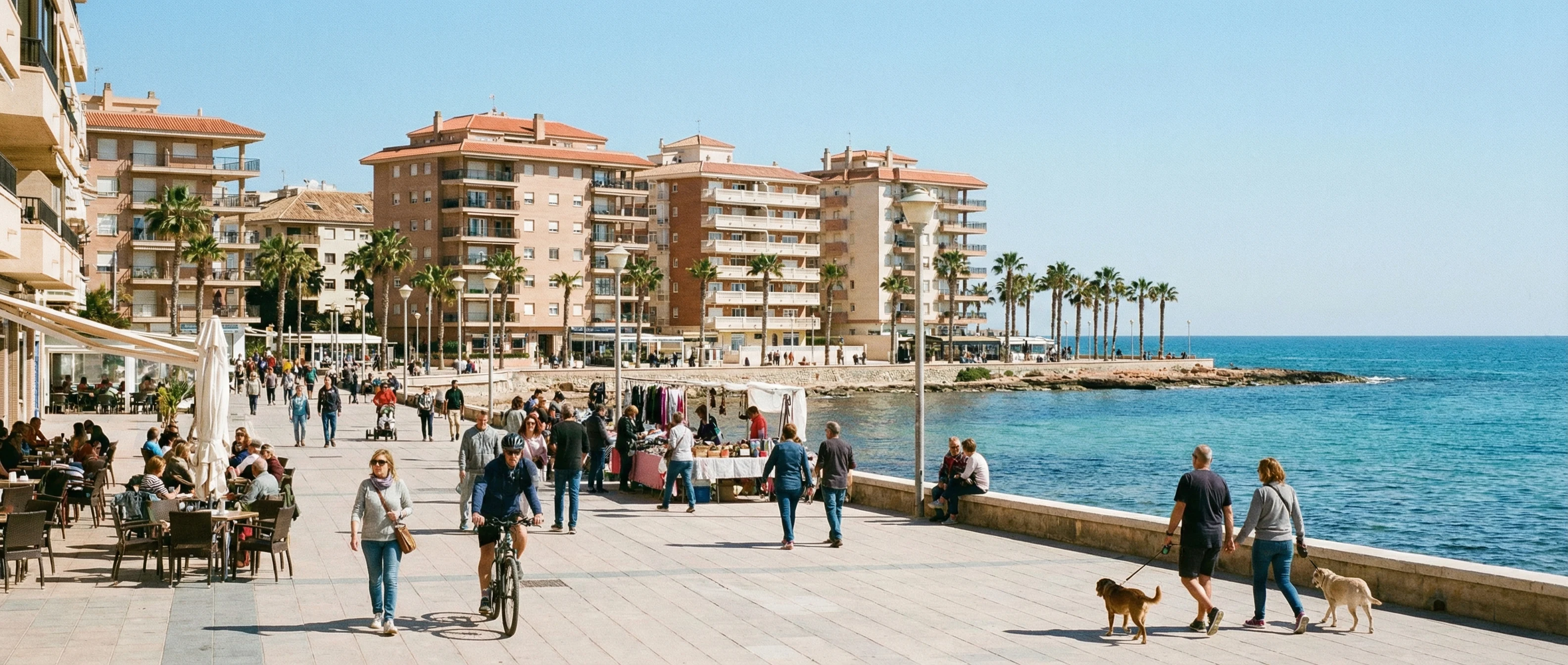 Torrevieja i Spanien med kustlinje, stadsbebyggelse, palmer och Medelhavet i varm kvällssol